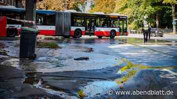 Nach Rohrbruch: Friedhof Ohlsdorf öffnet Schranken und Tore rund um die Uhr
