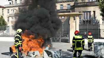 Student reportedly loses hand from police grenade amid France's education protests