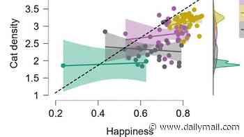 The secret to happiness? Cats! Countries with more felines are happier, study finds