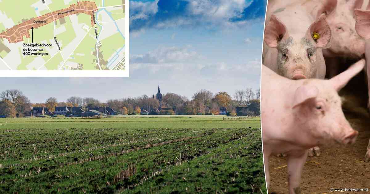 Plan voor grotere varkenshouderij roept vragen op: ‘Wat betekent dit voor 400 woningen in Oosteind?’