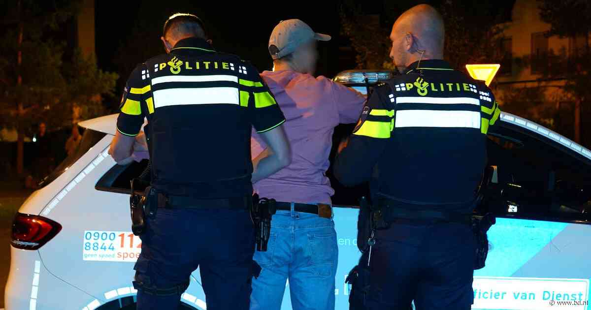 Hoever mag je als burger gaan bij een arrestatie? ‘Geweld mag, maar er zijn regels’