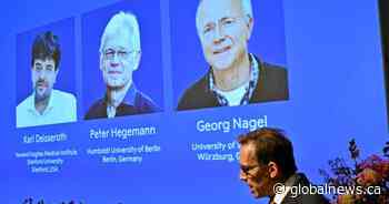 Nobel prize in medicine goes to U..S, German scientists for brain research