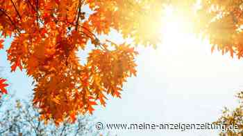 Vitamin-D-Mangel im Herbst: Ab wann die Sonne nicht mehr reicht