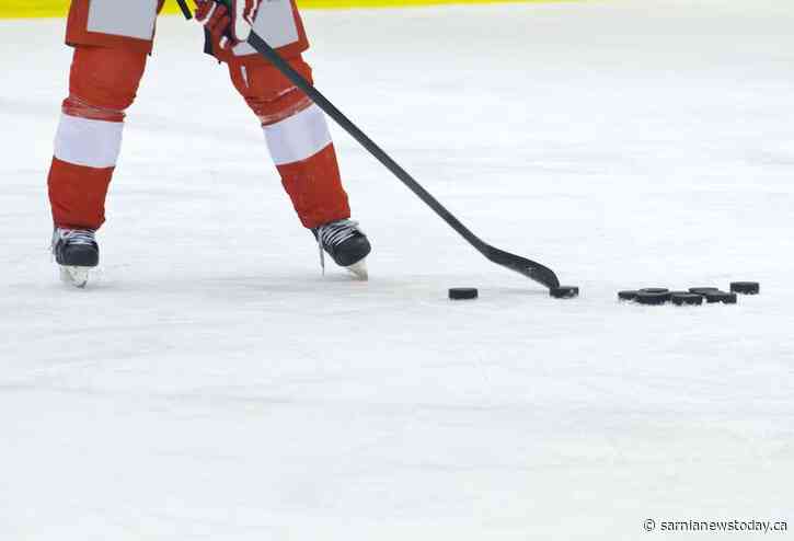Book event shines light on 'Canada’s troubled hockey culture'