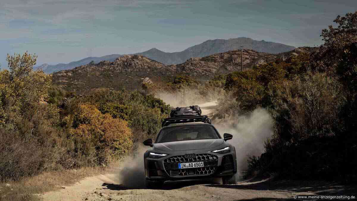 Diesel oder Hybrid? Damit fährt der Audi A6 allroad am besten!