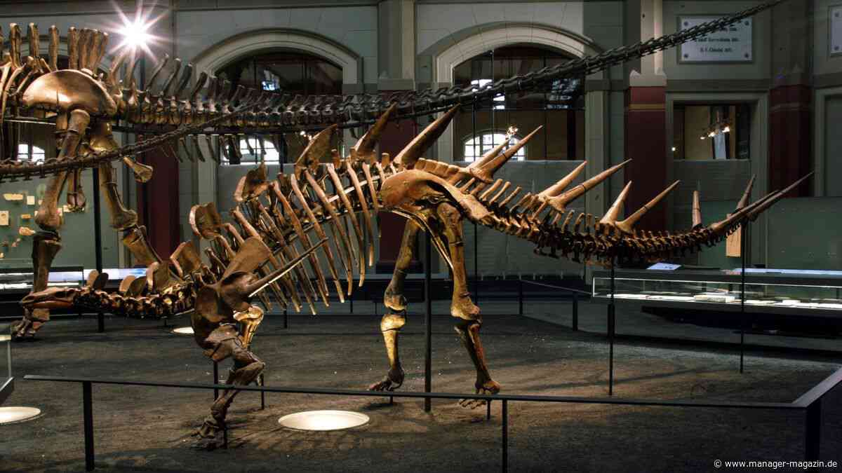 Dinosaurier: Sotheby's hofft auf bis zu 9 Milliarden Dollar für Skelett