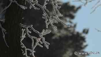 Environment Canada issues GTA's 1st frost advisory of the season