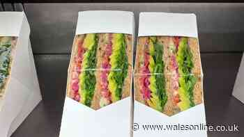 Binman confirms which bin meal deal sandwich packets go in