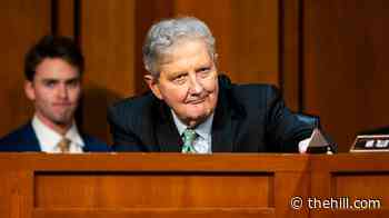 Sen. Kennedy teases presidential bid 'if a bunch of goobers run'
