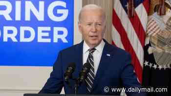 DHS blasts Biden's 'dereliction of duty' after bombshell report on millions of visa overstays...including migrants arrested for stabbings, torturing dogs and sexually assaulting Uber passenger