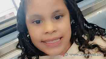 Girl, 7, stabbed to death by female stranger on busy Chicago sidewalk, cops say
