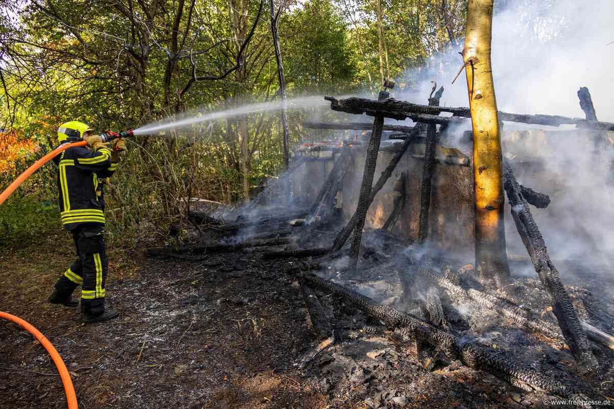 Nach Brand in altem Tierheim in Schneeberg: Kinder im Fokus der Ermittlungen