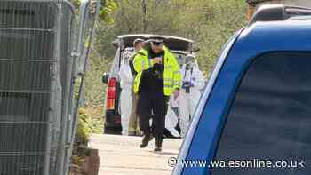 Man arrested on suspicion of murder after body found in burning van