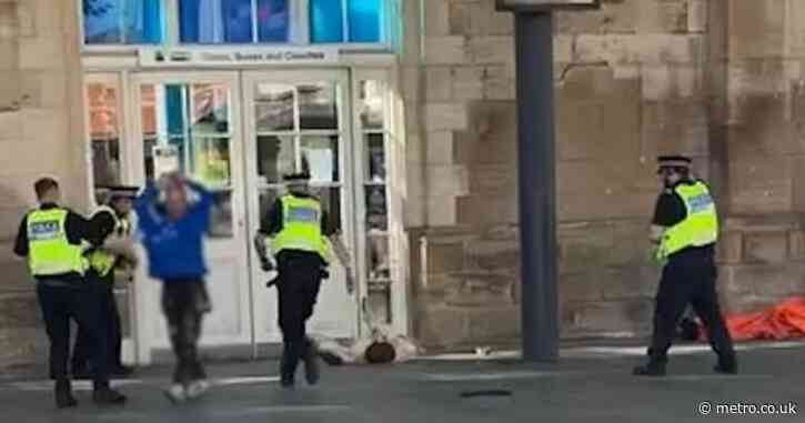 Moment ‘out-of-control’ dog tasered by police in Hull city centre fight