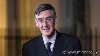 Inside Tory-Reform fight as Jacob Rees-Mogg reignites calls for parties to make a deal