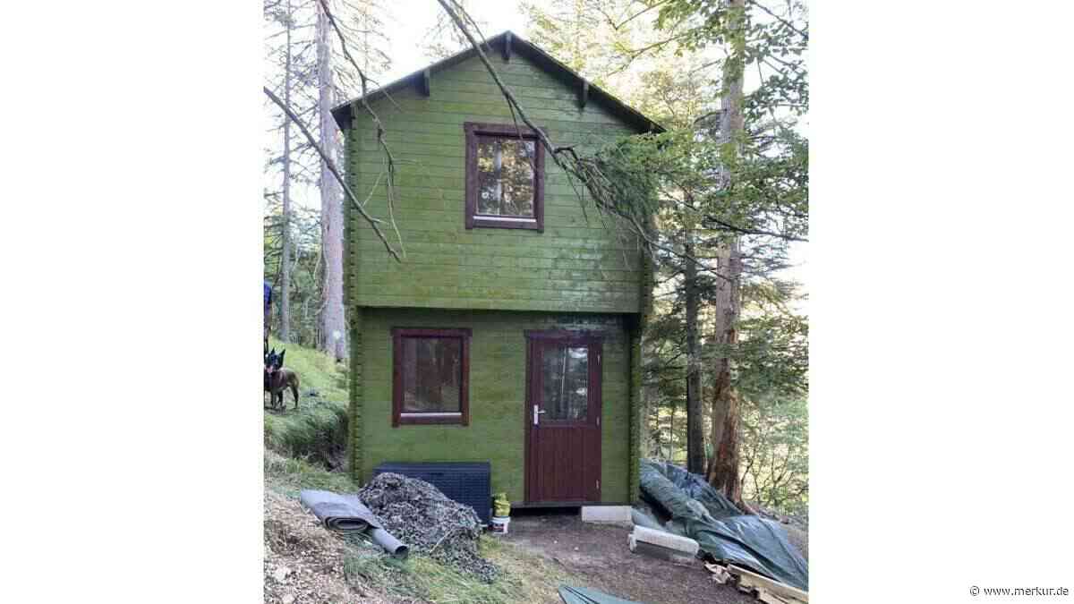 Prepper baut illegal zweistöckiges Holzhaus im Wald – Bausatz aus dem Internet