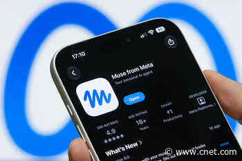 I Used Meta’s Muse Agent as My Personal Shopper. It Upcharged Me for No Reason