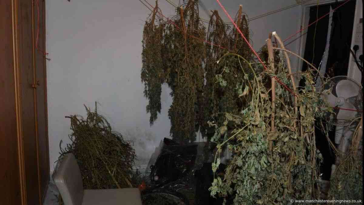 £2m of drugs found after 38-year-old man arrested in stop and search