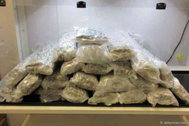 Ontario man sentenced for attempting to smuggle cannabis on Vancouver-London flight