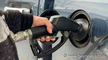 Average gas price in Florida plunges 29 cents in the past week, AAA reports