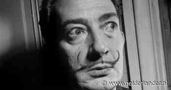 Kunstroof in Frankrijk: waardevol door Salvador Dalí ontworpen boek verdwenen uit museum