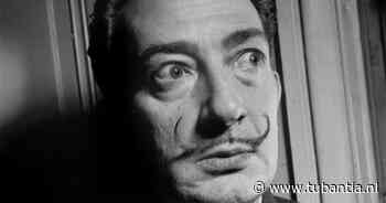 Kunstroof in Frankrijk: waardevol door Salvador Dalí ontworpen boek verdwenen uit museum