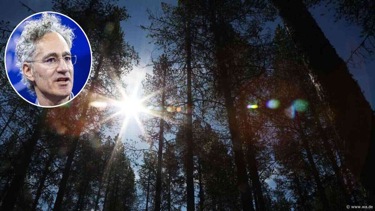 Palantir-Chef kauft 15.000 Hektar Wald – Was plant der Tech-Milliardär in Schweden?