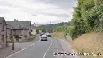 Driver and dog die in horror crash as Audi and parked car both burst into flames