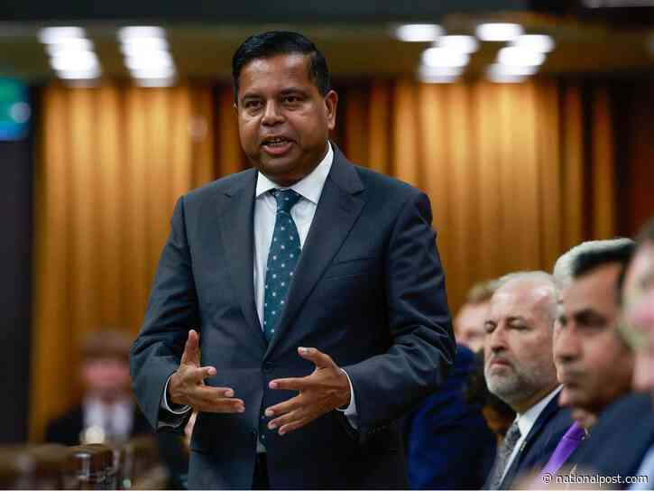 Public safety minister admits security 'gaps' after NATO intern arrest