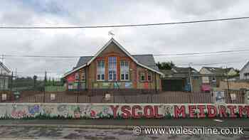 Two Carmarthenshire schools set to close for good within months