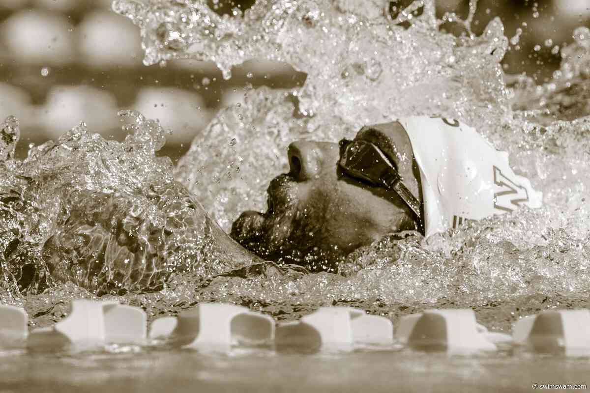 Do You Love Swimming? See 377 Swim Jobs You Might Love