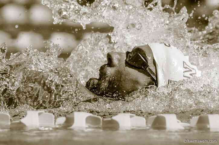Do You Love Swimming? See 377 Swim Jobs You Might Love