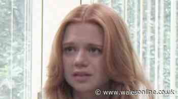 ITV The Blame ending explained: Who killed Sophie Madsen?