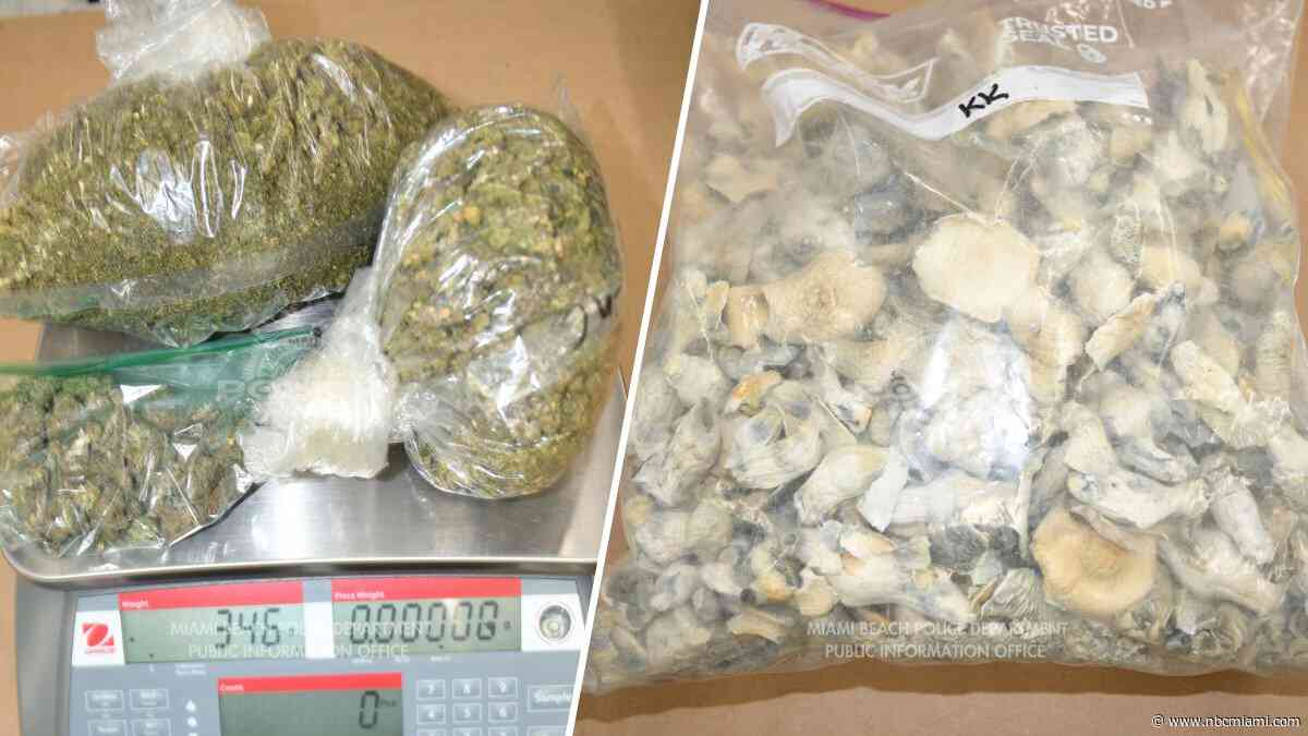 ‘Operation Pink Panther': 4 arrests, 70+ pounds of drugs, nearly $50K seized in Miami-Dade