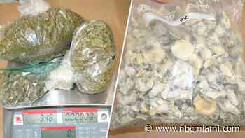 ‘Operation Pink Panther': 4 arrests, 70+ pounds of drugs, nearly $50K seized in Miami-Dade