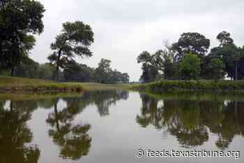 Institute launches in East Texas to address the region and state’s largest water challenges