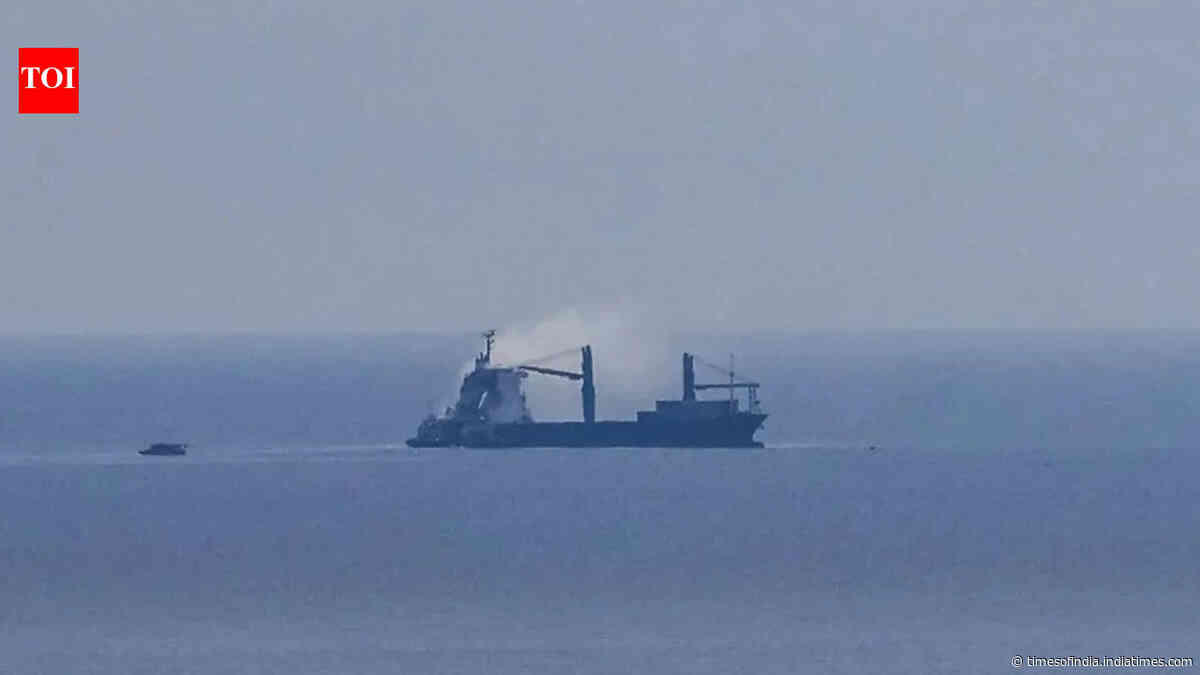Two killed, Indian among injured after Russian drone hits Turkish cargo ship
