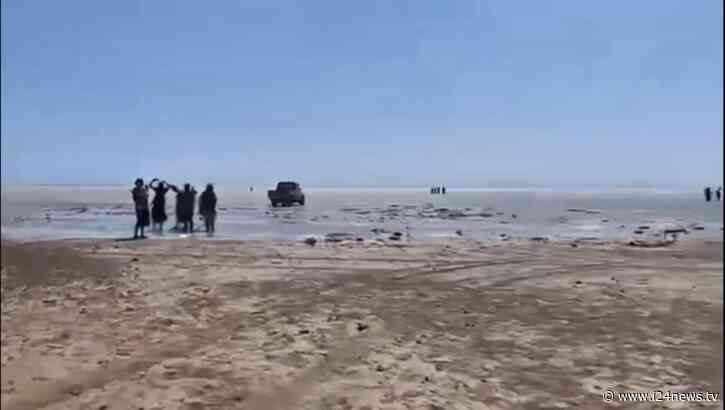 Saudi Arabia, Yemen launch Operation Yemeni Dawn to retake Bab el-Mandeb from Houthis