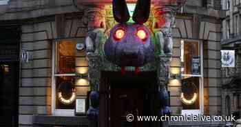 Halloween arrives early at Newcastle city centre bar with huge Vampire Rabbit replica