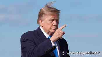 Donald Trump says 'a specific threat' saw US withdraw its bombers from RAF Fairford after 'foiled terror plot'