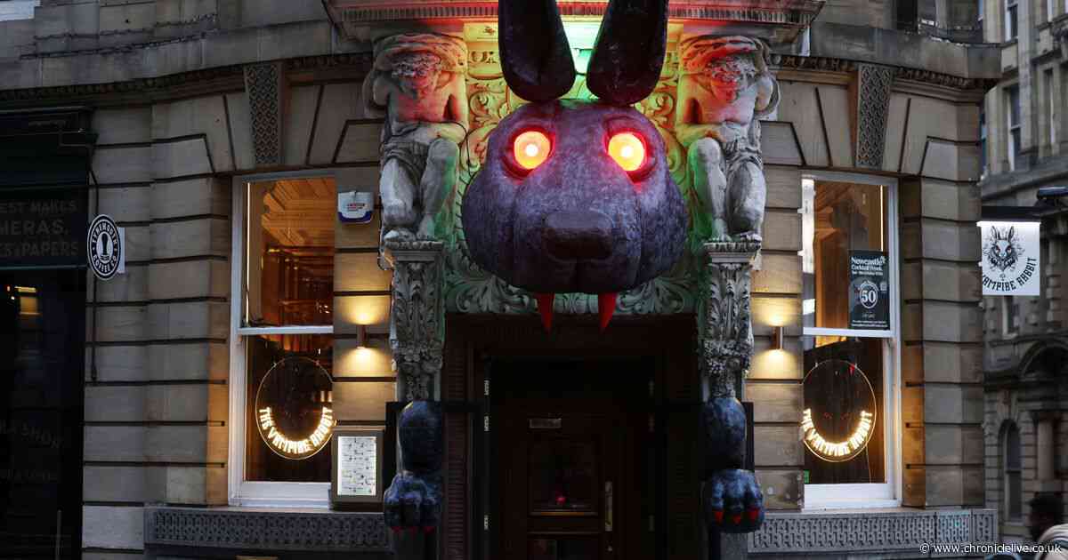 Halloween arrives early at Newcastle city centre bar with huge Vampire Rabbit replica