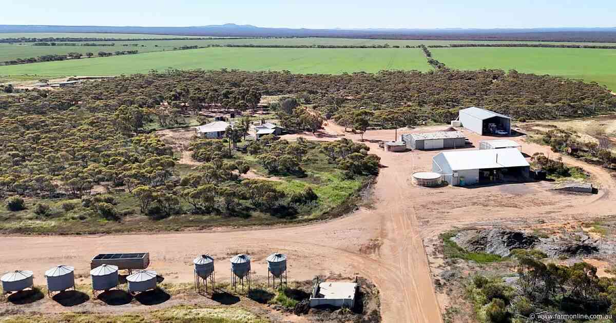 Farm sales hit record low as price expectations clash