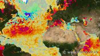 El Nino forecast update as weather experts urge 'act now' with disease warning