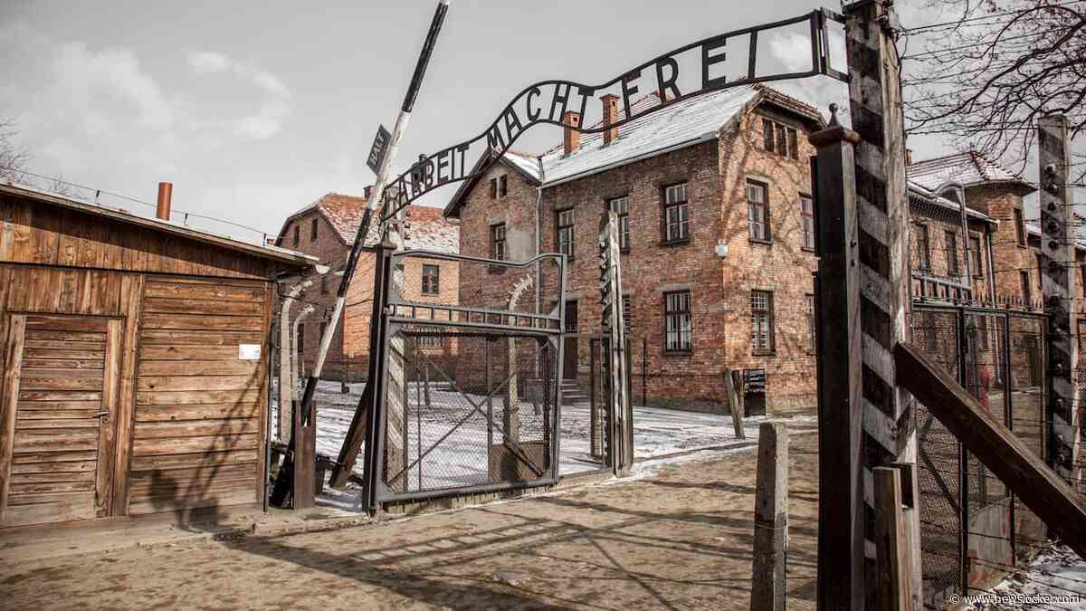 Nederlands paviljoen in museum Auschwitz na twintig jaar vernieuwd