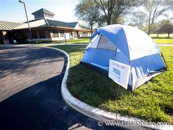 Sylvania Boy Scouts collecting food to help the hungry