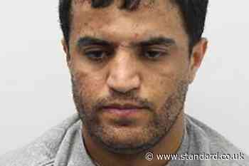 Afghan refugee locked up for killing dog walker in Uxbridge stabbing spree