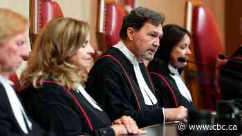 Supreme Court's top judge starts judicial year by stressing need to protect democratic institutions