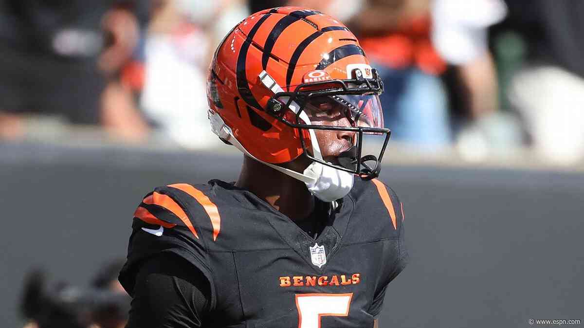 Bengals WR Higgins day-to-day with adductor injury, Taylor says