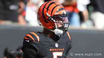 Bengals WR Higgins day-to-day with adductor injury, Taylor says