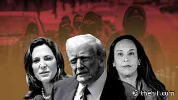 Trump's deportation agenda haunts him in two high-profile House races 